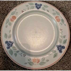Pfaltzgraff USA GARDEN GROVE‎ Dinner Plates 10 1/2"  Set Of 4